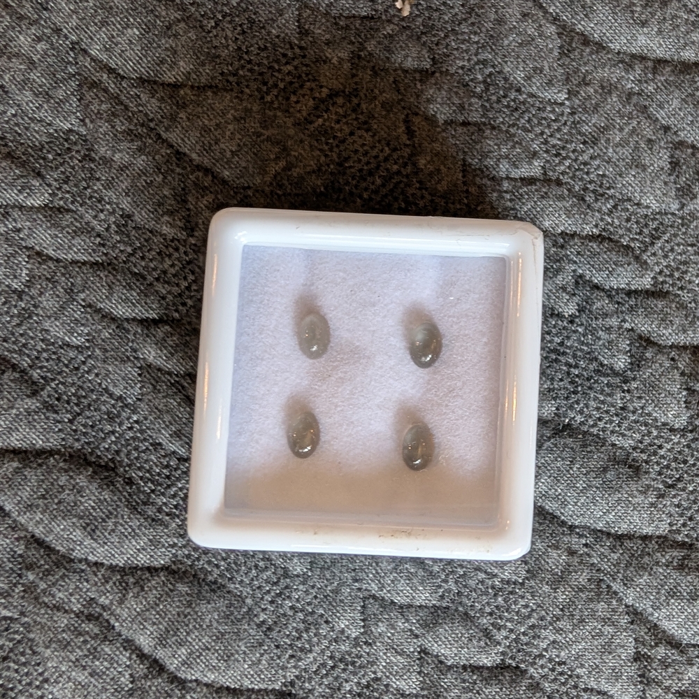 Elegant Silver Stud Earrings